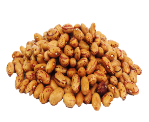 Borlotti Beans