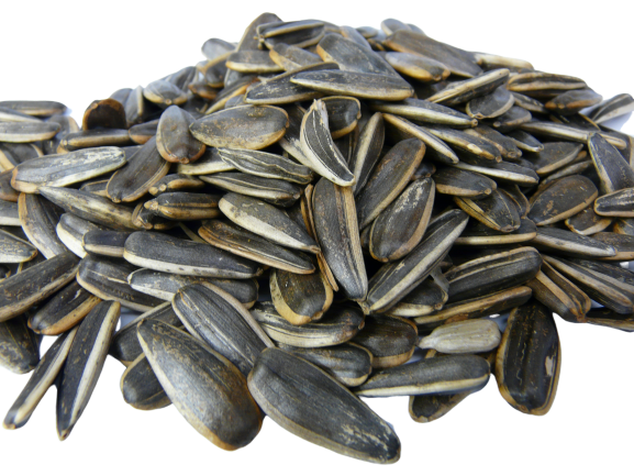 Sunflower Seeds (Roasted in Shell)
