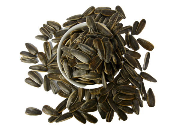 Sunflower Seeds (Roasted in Shell)