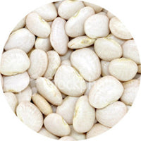 Lima Beans- Large