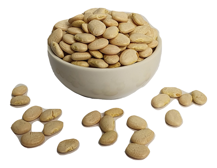 Lima Beans- Large